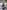 iCOASTER 18 und RowMotion®